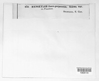 Image Associated With the Occurence